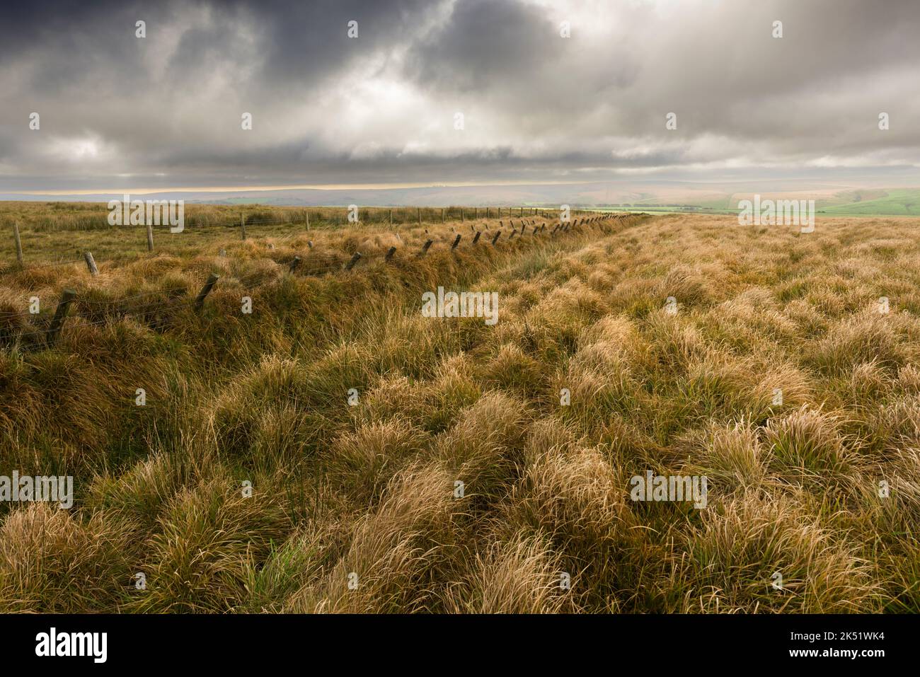 Recinzioni di filo spinato lungo una vecchia banca di terra per tenere in bestiame sul lato sud delle catene nel Parco Nazionale di Exmoor, Somerset, Inghilterra. Foto Stock