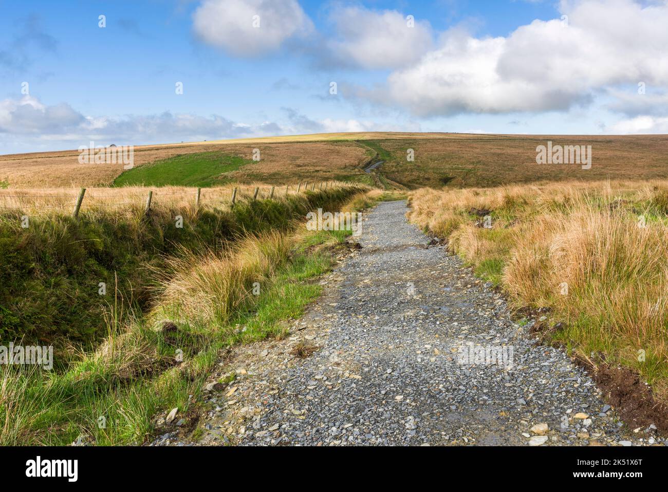 Il percorso del Tarka Trail che corre lungo una sponda di terra recintata a filo spinato sul lato sud delle catene nel Parco Nazionale di Exmoor, Somerset, Inghilterra. Foto Stock