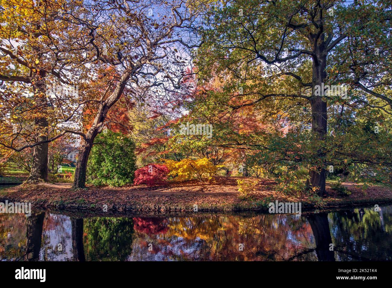 Autunno fogliame e riflessi d'acqua in uno stagno in Vallee aux Loups Arboretum vicino a Parigi, Francia. Foto Stock