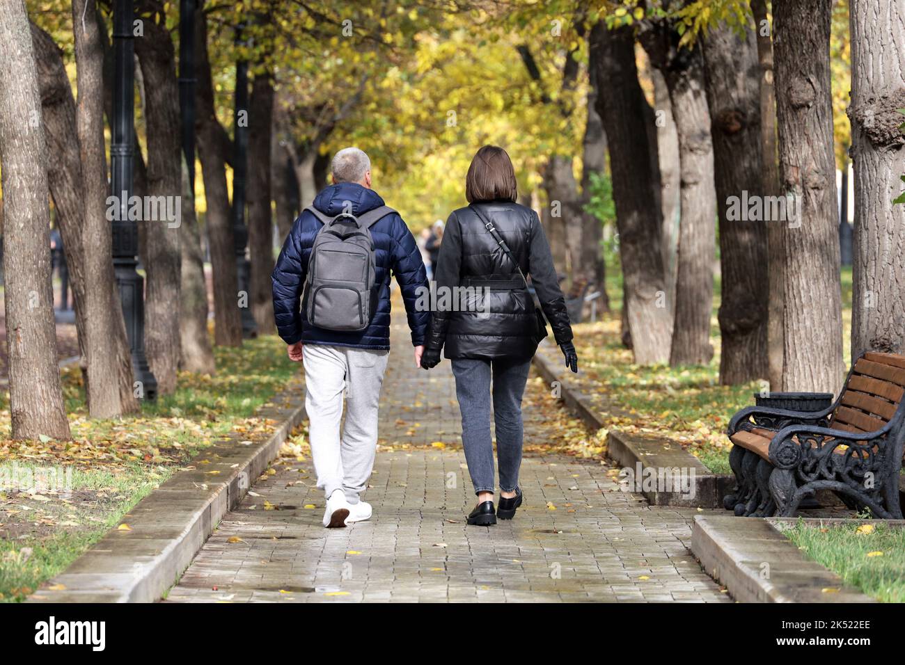 Coppia a piedi nel parco autunnale, vista al vicolo con foglie gialle cadute Foto Stock