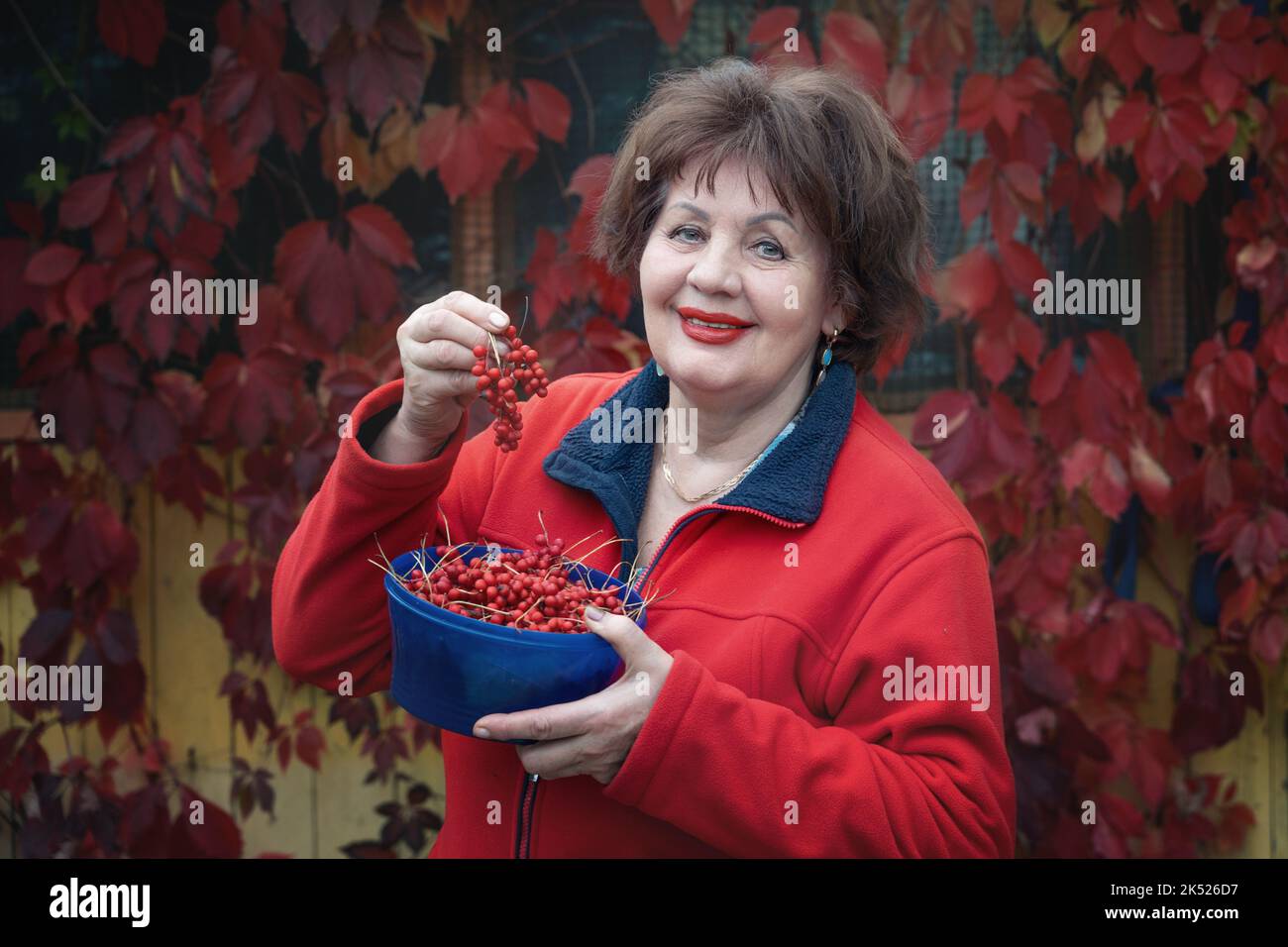 Una bella donna dai capelli castani di 70 anni con bacche di citronella. La donna sorride e tiene in mano un piatto di bacche rosse. Spazio di copia Foto Stock