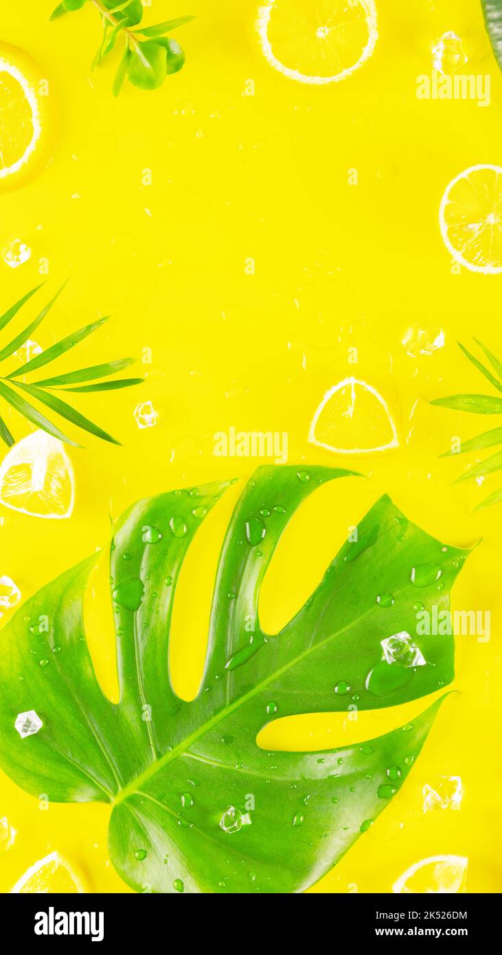 Foglie tropicali, scorze di agrumi e cubetti di ghiaccio su sfondo giallo Foto Stock
