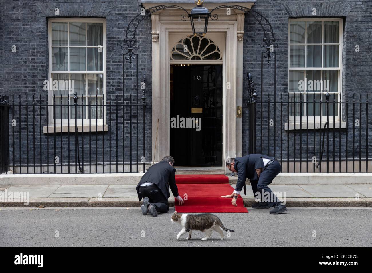 Il tappeto rosso è posto davanti alla porta d'ingresso principale di Downing Street No.10, davanti ad una visita di Stato, Whitehall, Londra, Inghilterra, Regno Unito Foto Stock