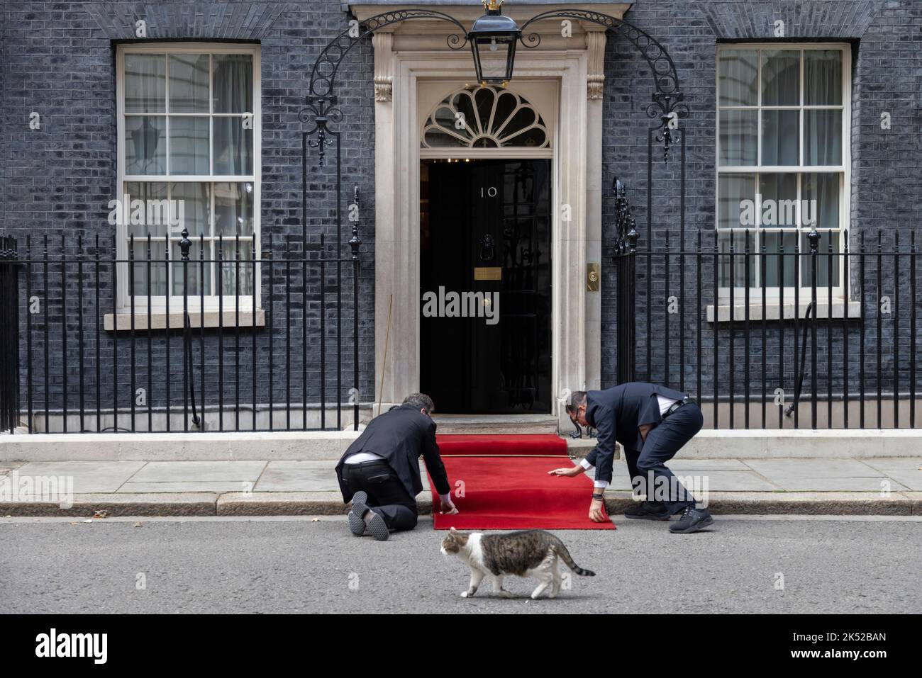 Il tappeto rosso è posto davanti alla porta d'ingresso principale di Downing Street No.10, davanti ad una visita di Stato, Whitehall, Londra, Inghilterra, Regno Unito Foto Stock
