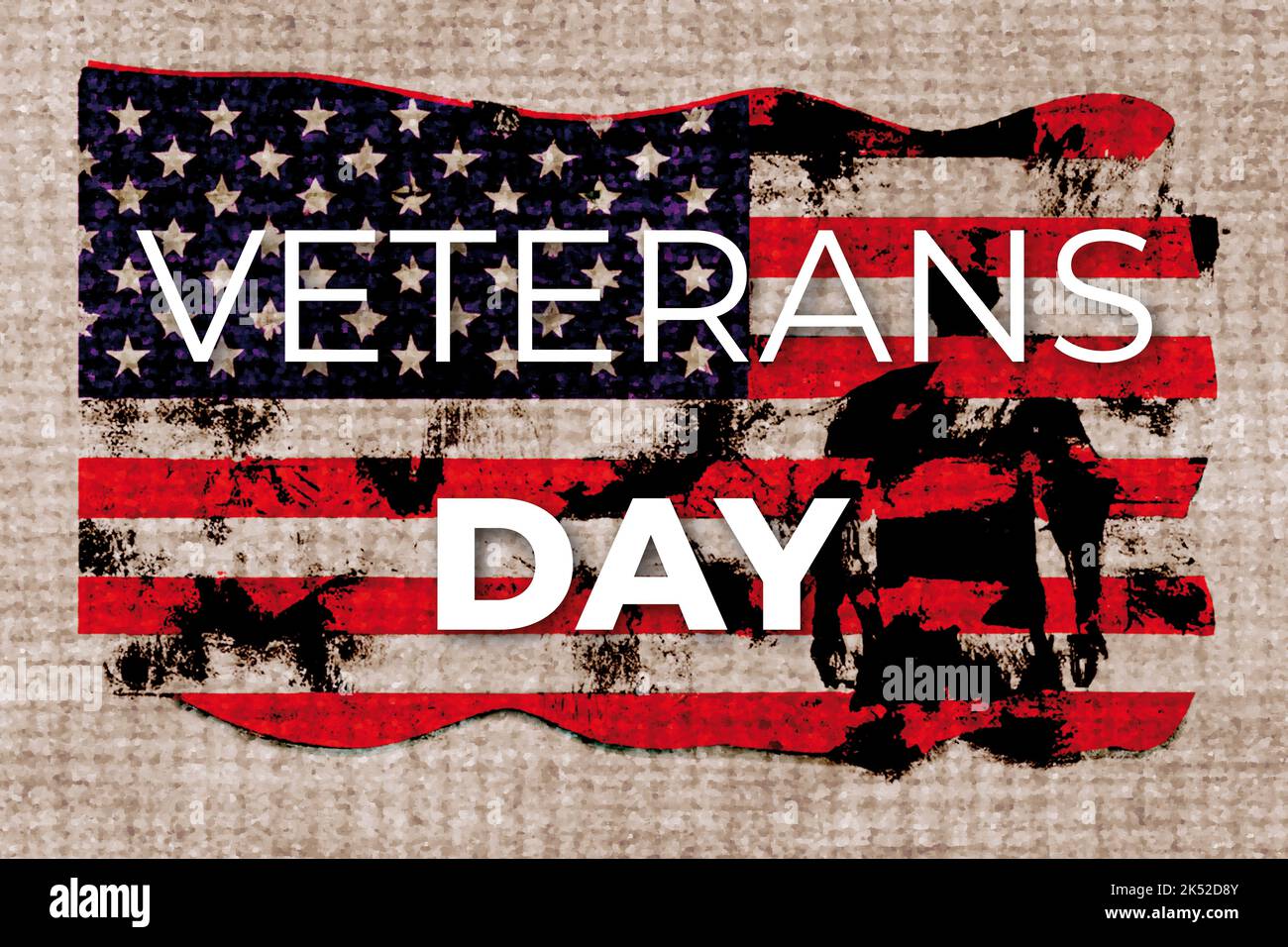 Veterans Day. Stati Uniti commemorano i veterani militari delle forze armate Foto Stock