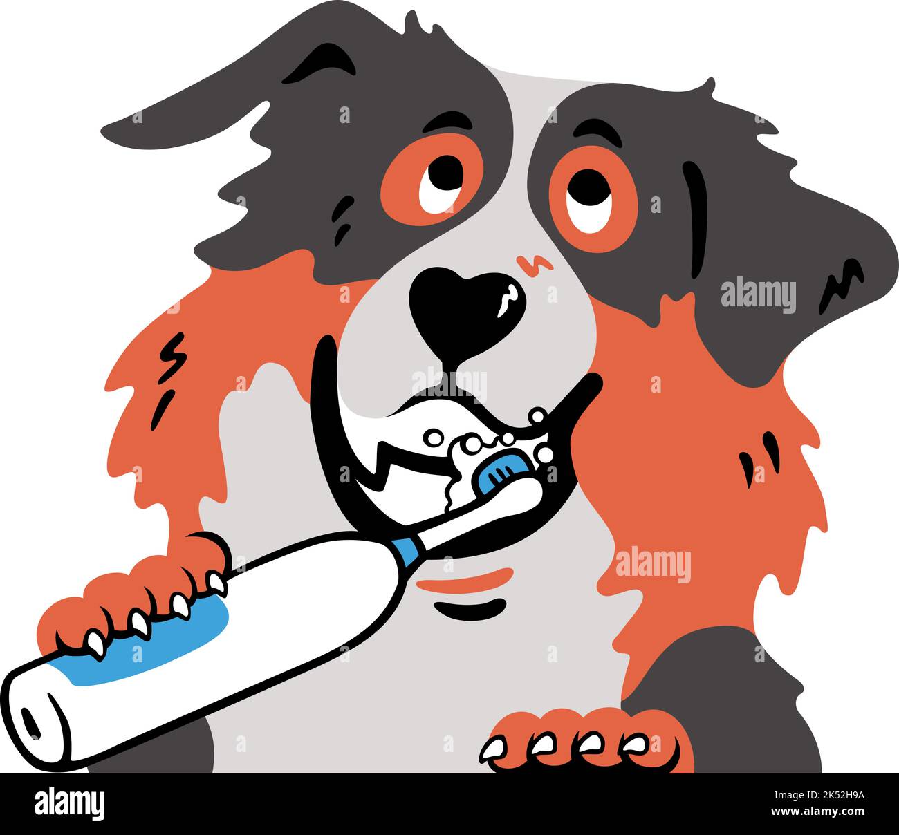 Un carino australiano Shepherd Dog spazzolando il suo dente da uno spazzolino elettrico Illustrazione Vettoriale