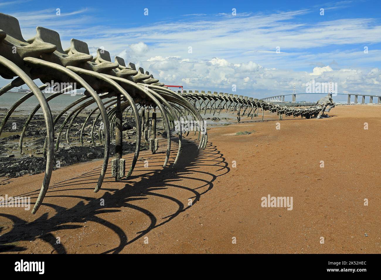 Serpent d' oceano Foto Stock