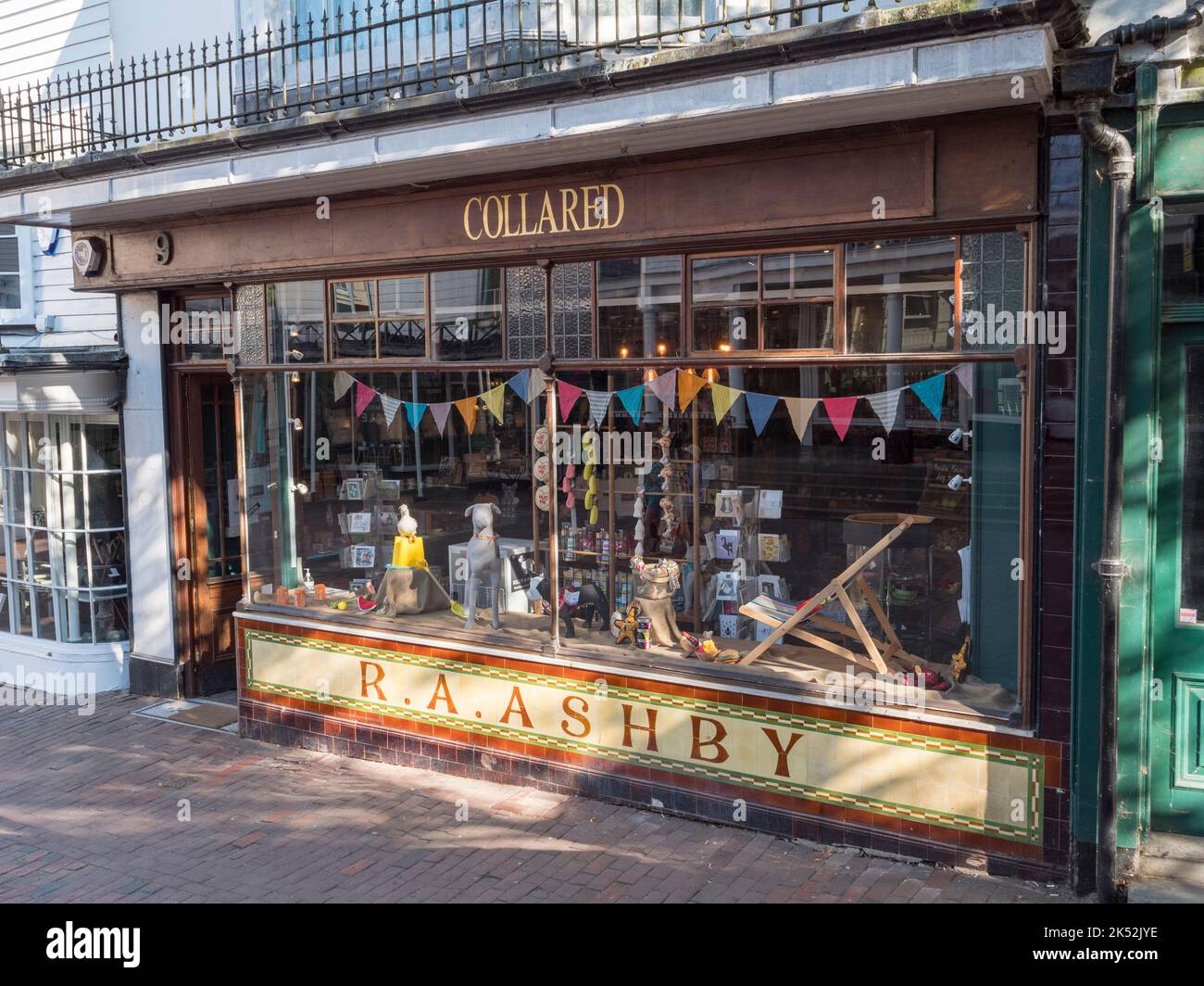 Collared, un negozio di articoli per animali domestici nella zona di Pantiles di Royal Tunbridge Wells, Kent, Regno Unito. Foto Stock