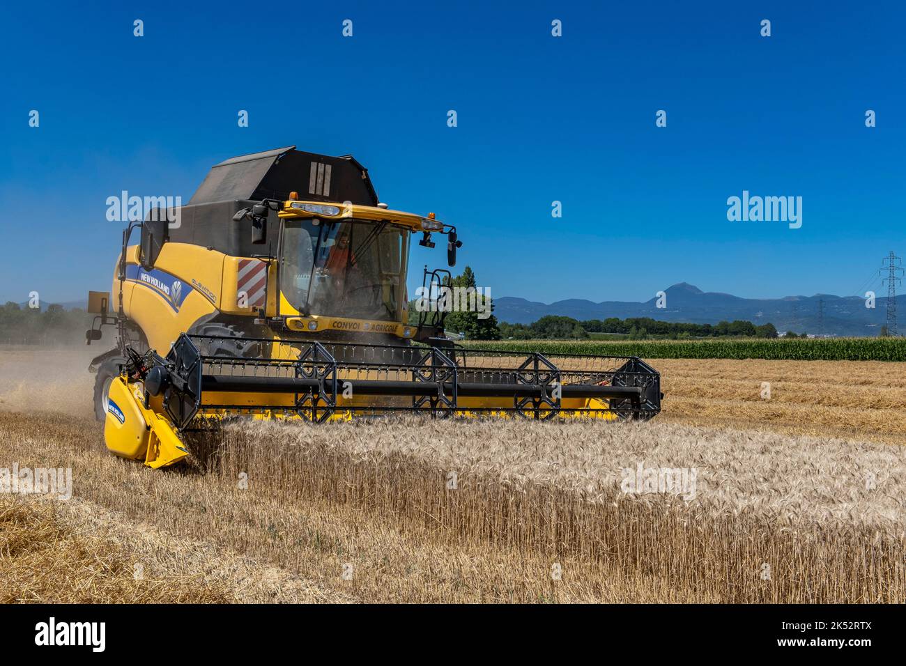 Francia, Puy de Dome, raccolto nella pianura della Limagne, Chaine des Puys sullo sfondo Foto Stock