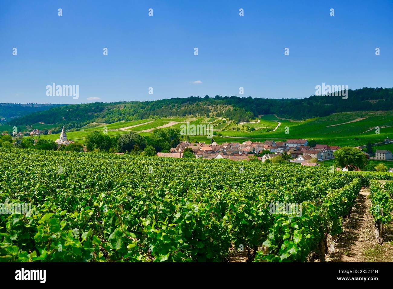 Francia, Cote d'Or, i climi di Borgogna elencati come Patrimonio Mondiale dell'UNESCO, Route des Grands Crus, Cote de Beaune vigneto, Auxey Duresses, il villaggio A. Foto Stock