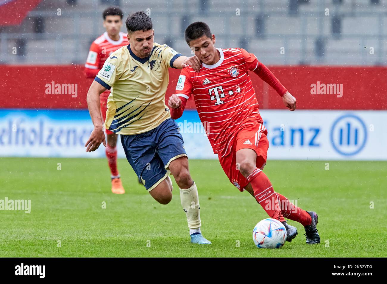 Calcio Bundesliga 1 U19 FC Bayern München vs TSG 1899 Hoffenheim Foto Stock