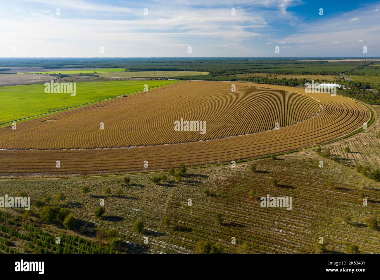 Francia, Gironde, Bassin d'Arcachon, Audenge, superficie coltivata, Annaffiare in cerchio il Delta di Leyre (vista aerea) Foto Stock