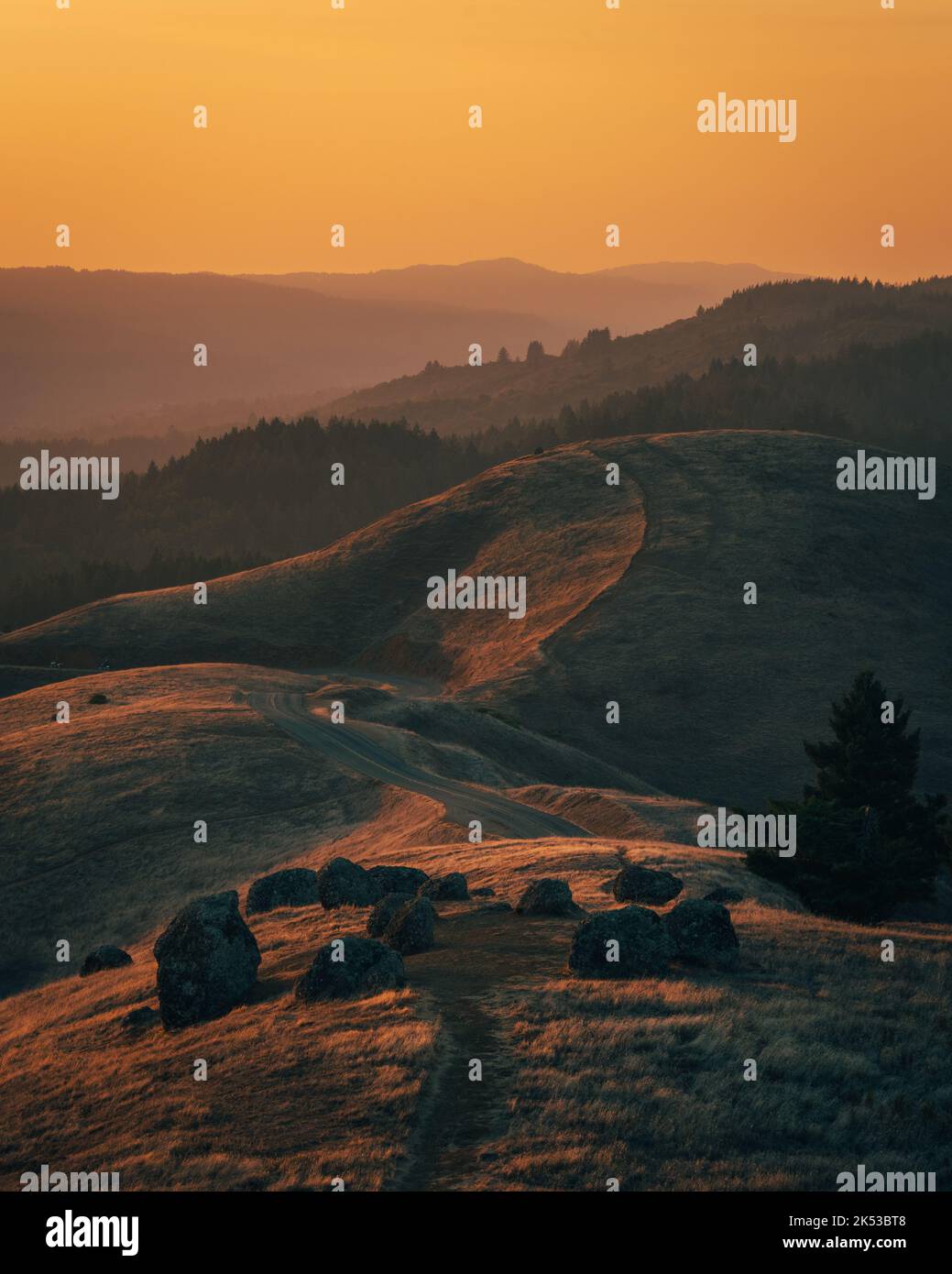 Vista delle colline ondulate al tramonto, dal Monte Tamalpais, California Foto Stock