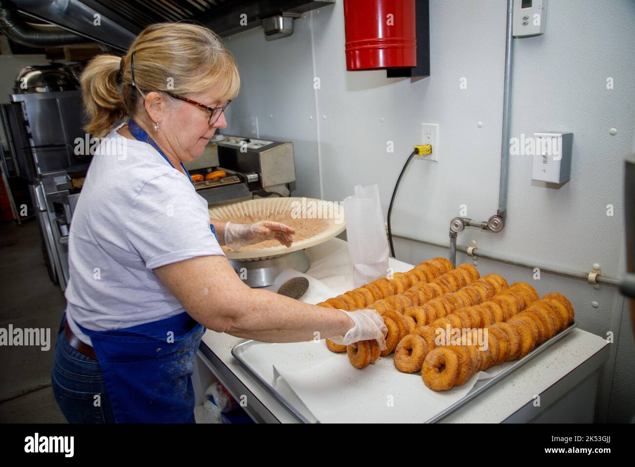 Rogers Family Orchard, Johnstown, Fulton County, New York: Fare ciambelle di sidro di mele è una tradizione autunnale nella parte settentrionale dello stato di New York. Foto Stock