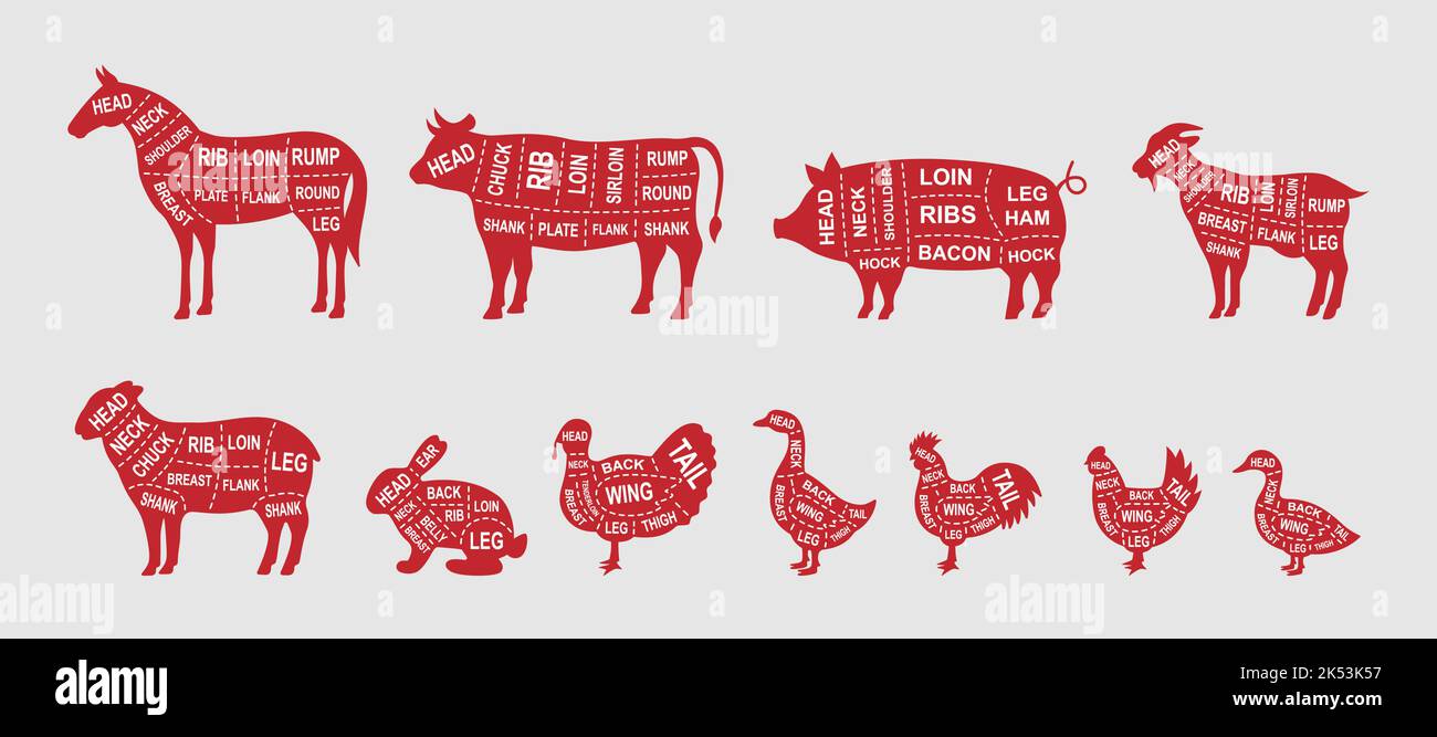 Serie di tagli di diagramma di animali da allevamento. Poster schema macellaio. Maiale, cavallo, tacchino, capra, pecora, Pollo, gallo, anatra, coniglio, oca, Tagli di mucca di carni. Illustrazione Vettoriale