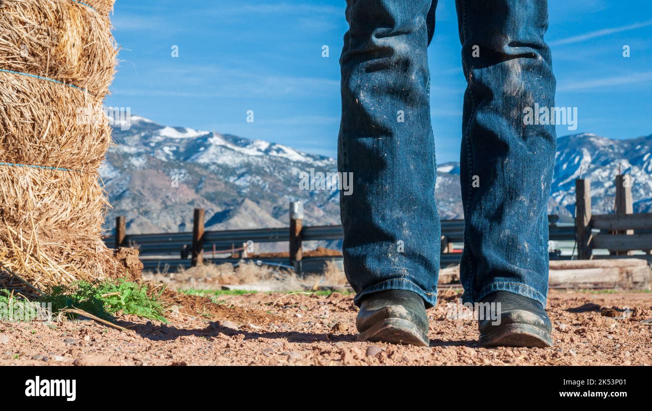 Scenario agricolo nello Utah con una balla di fieno e montagne sullo sfondo. Concentrati sugli stivali da cowboy e sui jeans sporchi della donna. Foto Stock