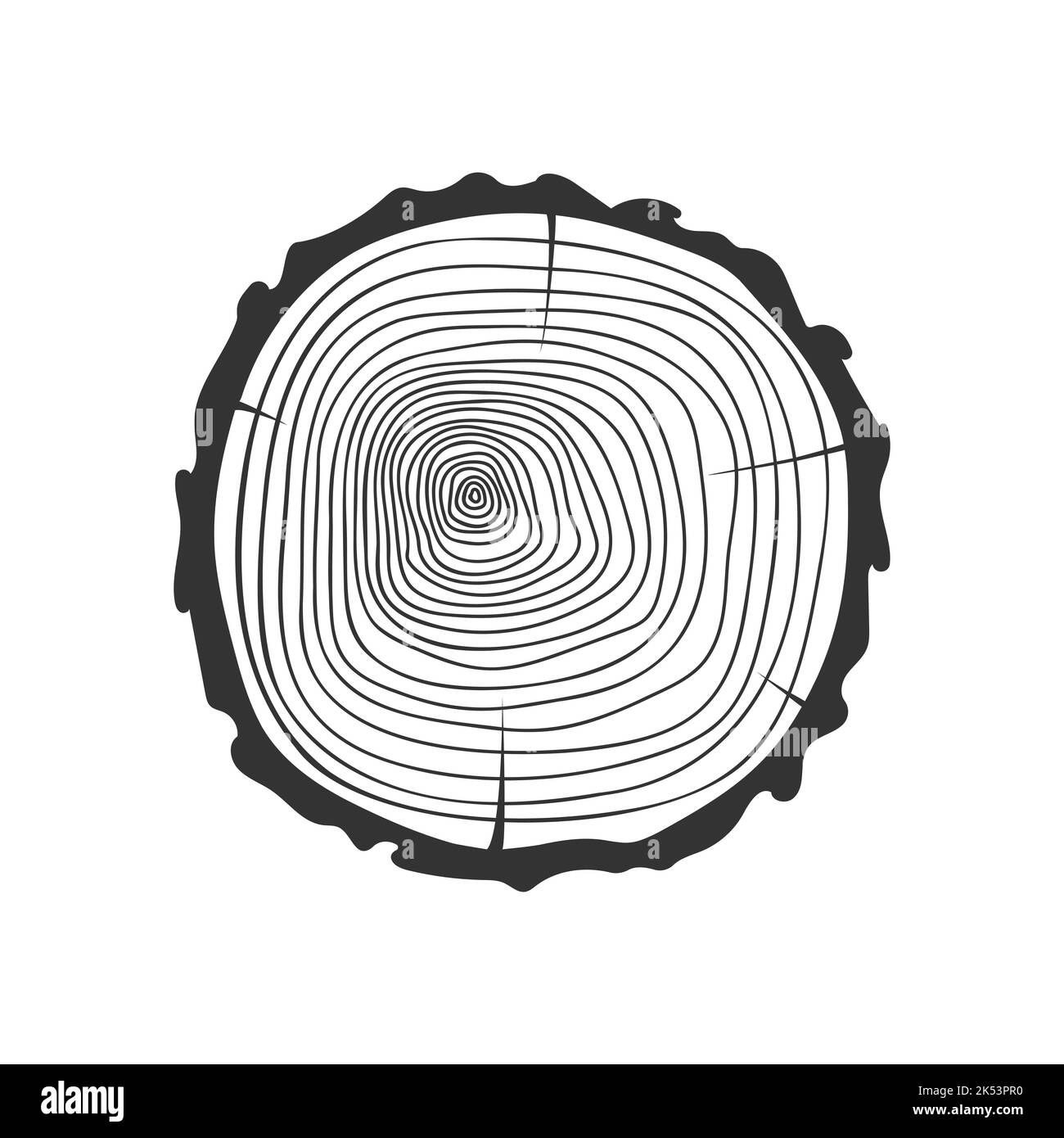 Anelli di crescita annuale in sezione trasversale del tronco dell'albero. Timbro di legno tessuto disegnato a mano isolato su sfondo bianco. Dendrocronologia datazione metodo per determinare l'età dell'albero. Illustrazione del doodle vettoriale Illustrazione Vettoriale