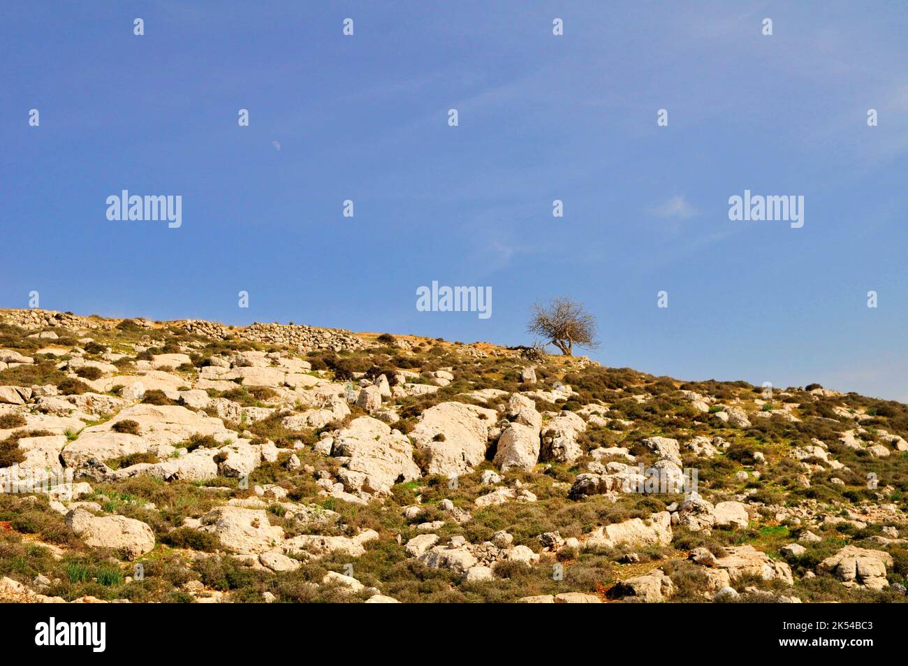 Paesaggio dei Monti Judaei. Foto Stock