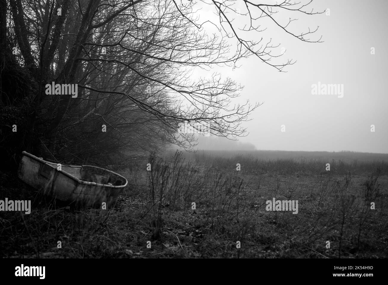 Una piccola vecchia barca lasciata sotto gli alberi durante il tempo nebbia Foto Stock