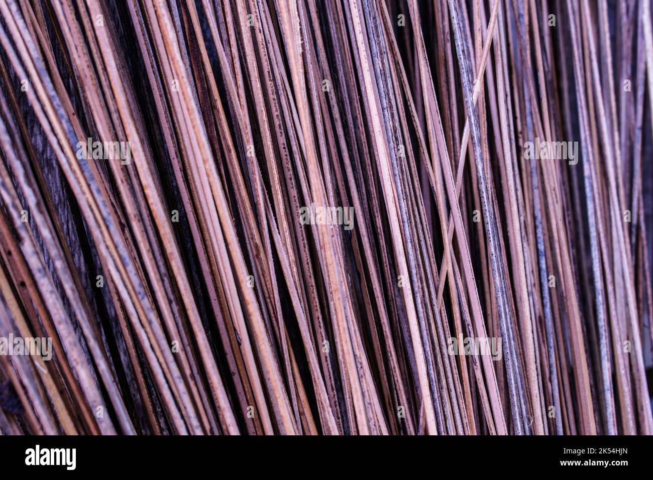 spuncagli dal cocco per fare una scopa. da albero di cocco Foto Stock