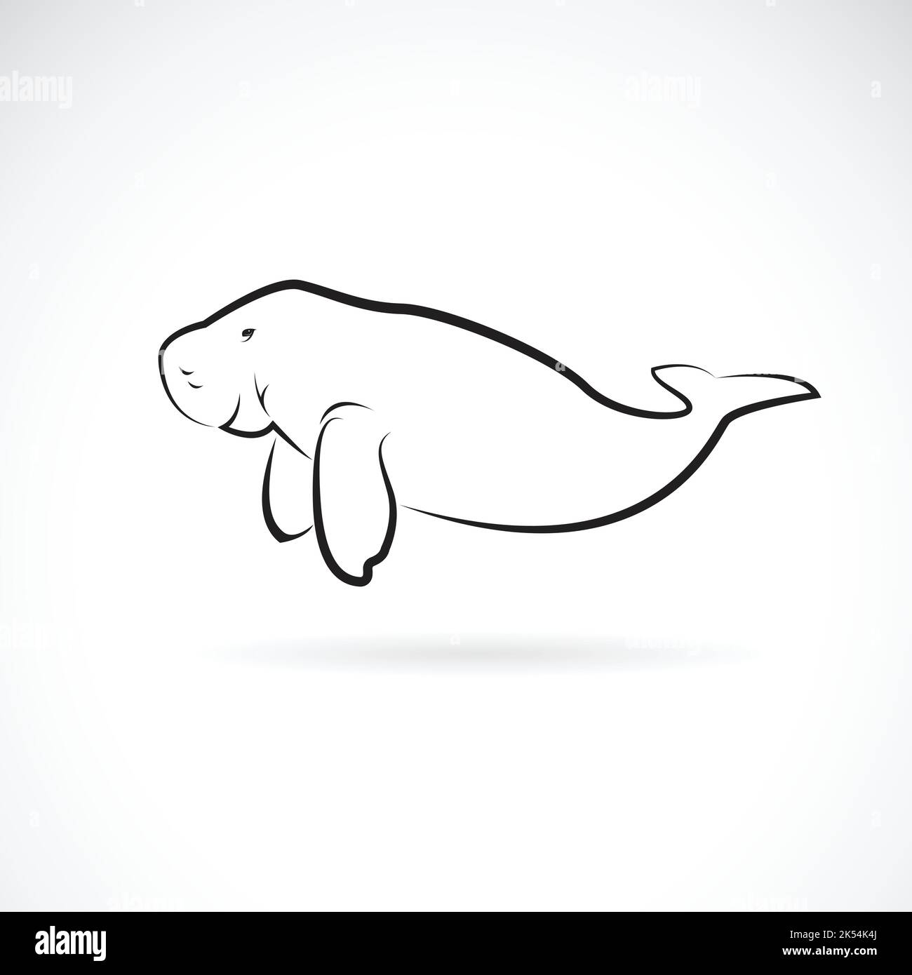 Vettore di disegno dugong su sfondo bianco. Animali selvatici. Illustrazione vettoriale a livelli facilmente modificabile. Illustrazione Vettoriale