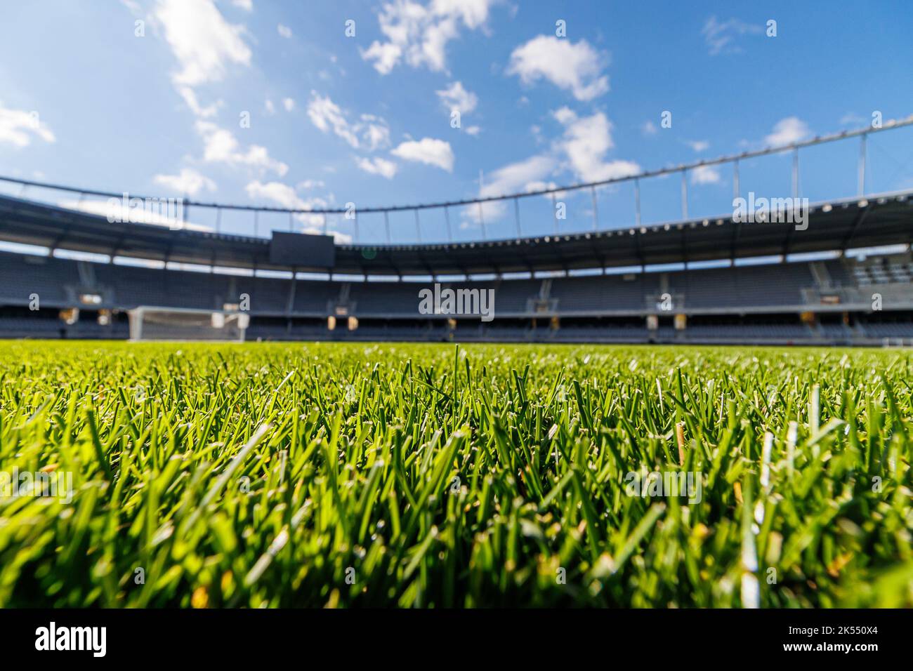 Erba verde con stadio di calcio sullo sfondo. Foto Stock