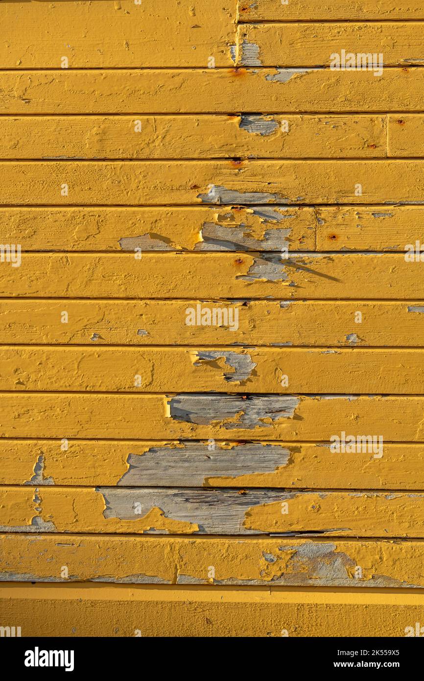 Sfondo di legno arrugginito giallo - foto di scorta Foto Stock