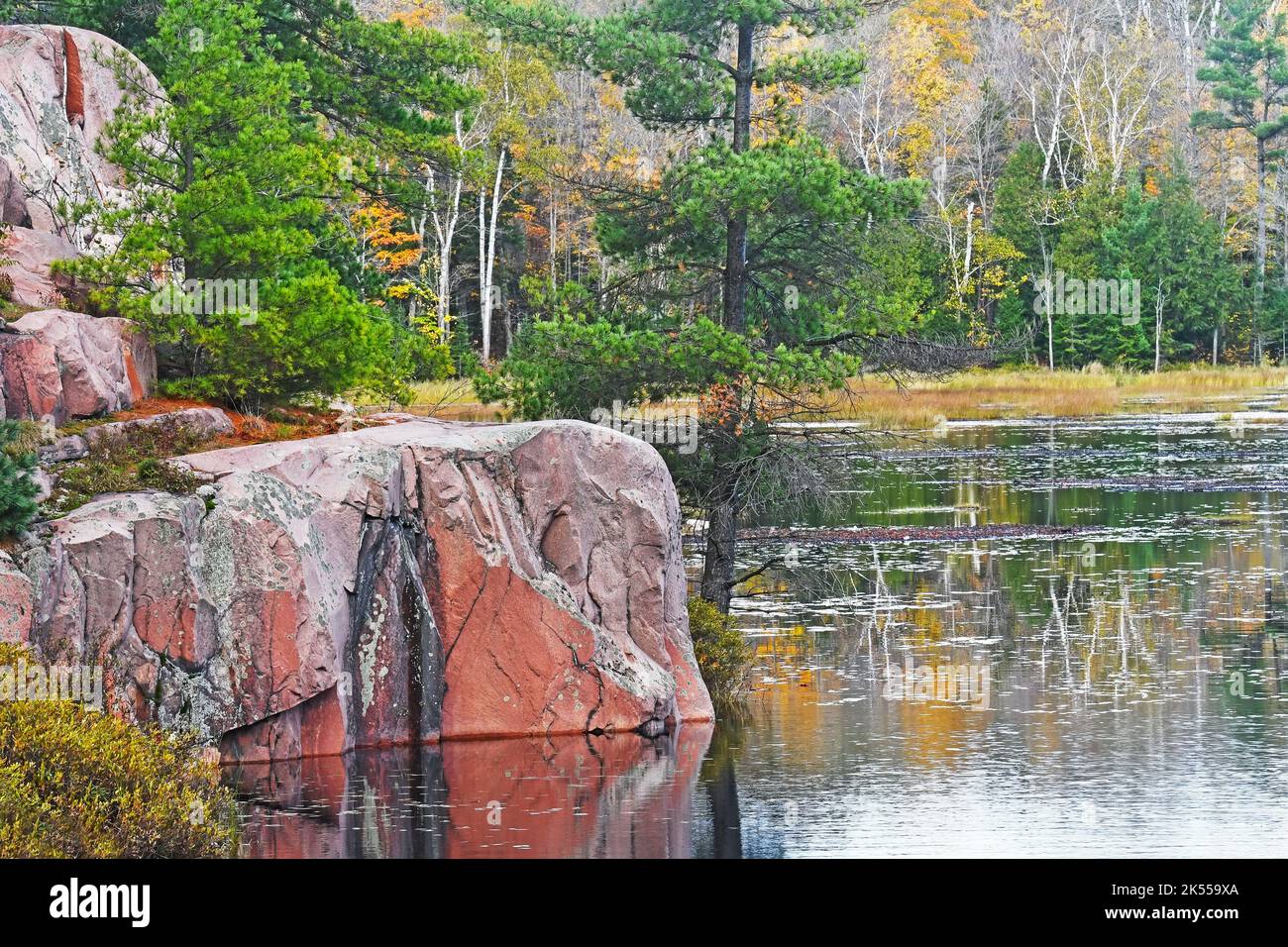 Killarney, percorso per palude di mirtilli rossi, Ontario, Canada Foto Stock