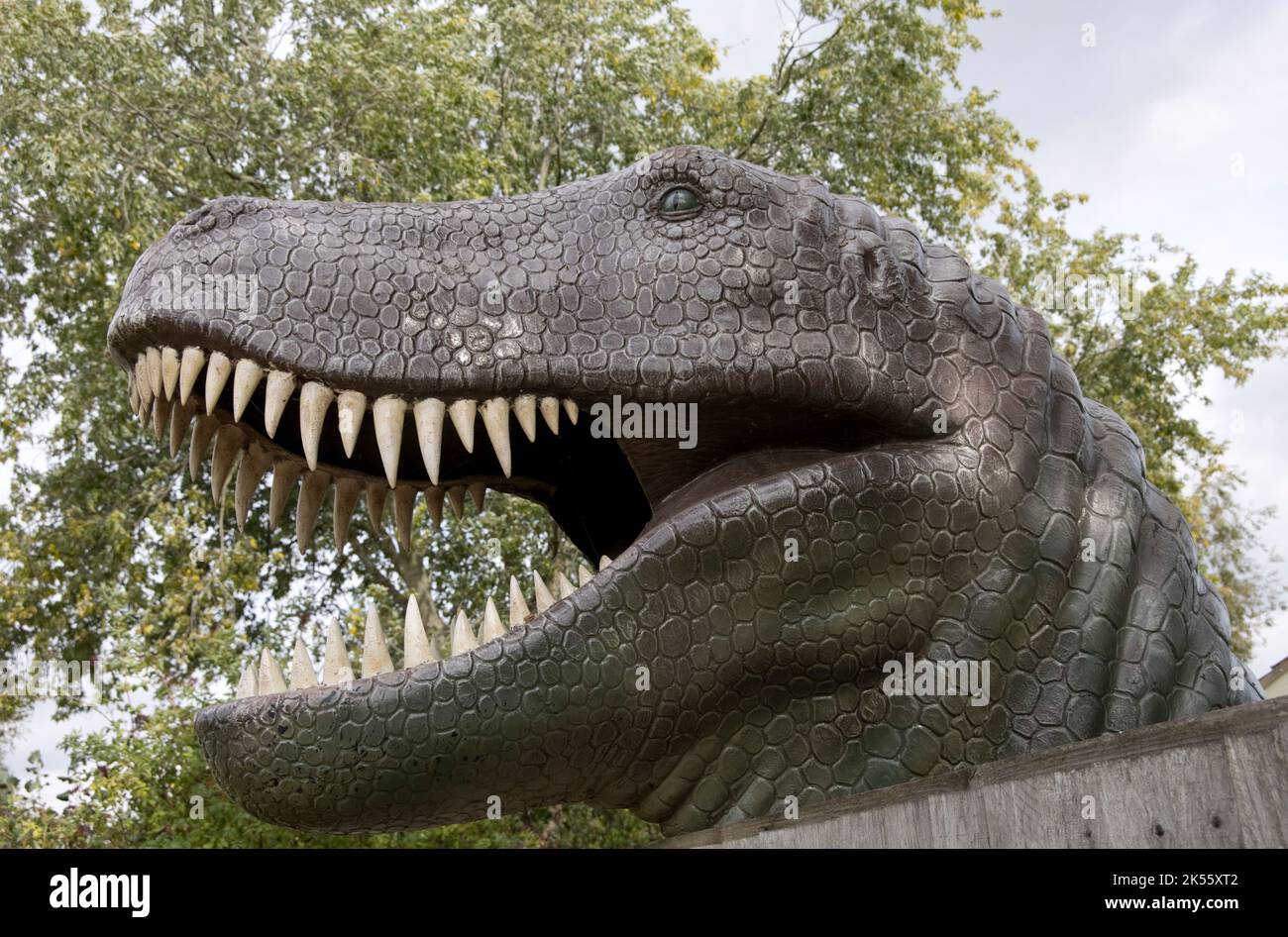 Testa di Tyrannosaurus rex che mostra denti affilati come un pugnale Foto Stock