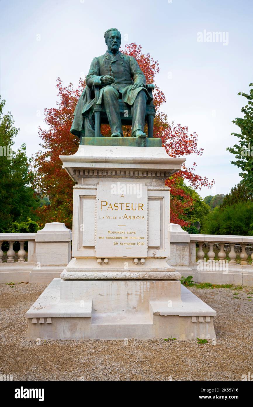 Statua di Pasteur ad Arbois, Giura, Francia. Il museo House of Louis Pasteur è l'ex casa conservata e laboratorio personale della rinomata sci Foto Stock