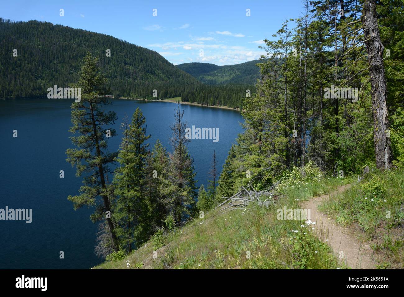 La vista del lago Sullivan, da un sentiero escursionistico sopra la riva, nelle Selkirk Mountains della Colville National Forest, Washington state, USA. Foto Stock