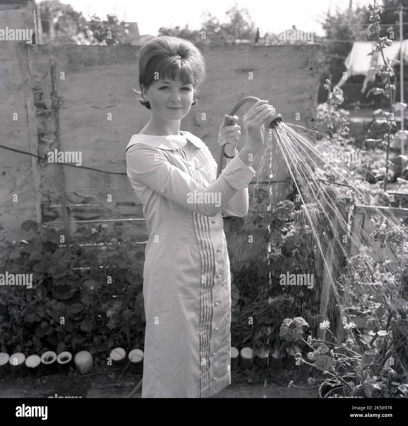 1964, storica, estiva e all'aperto in un giardino, una giovane donna in un vestito che innaffia le sue piante, utilizzando un tubo a tubo con uno spray, Inghilterra, Regno Unito. Foto Stock