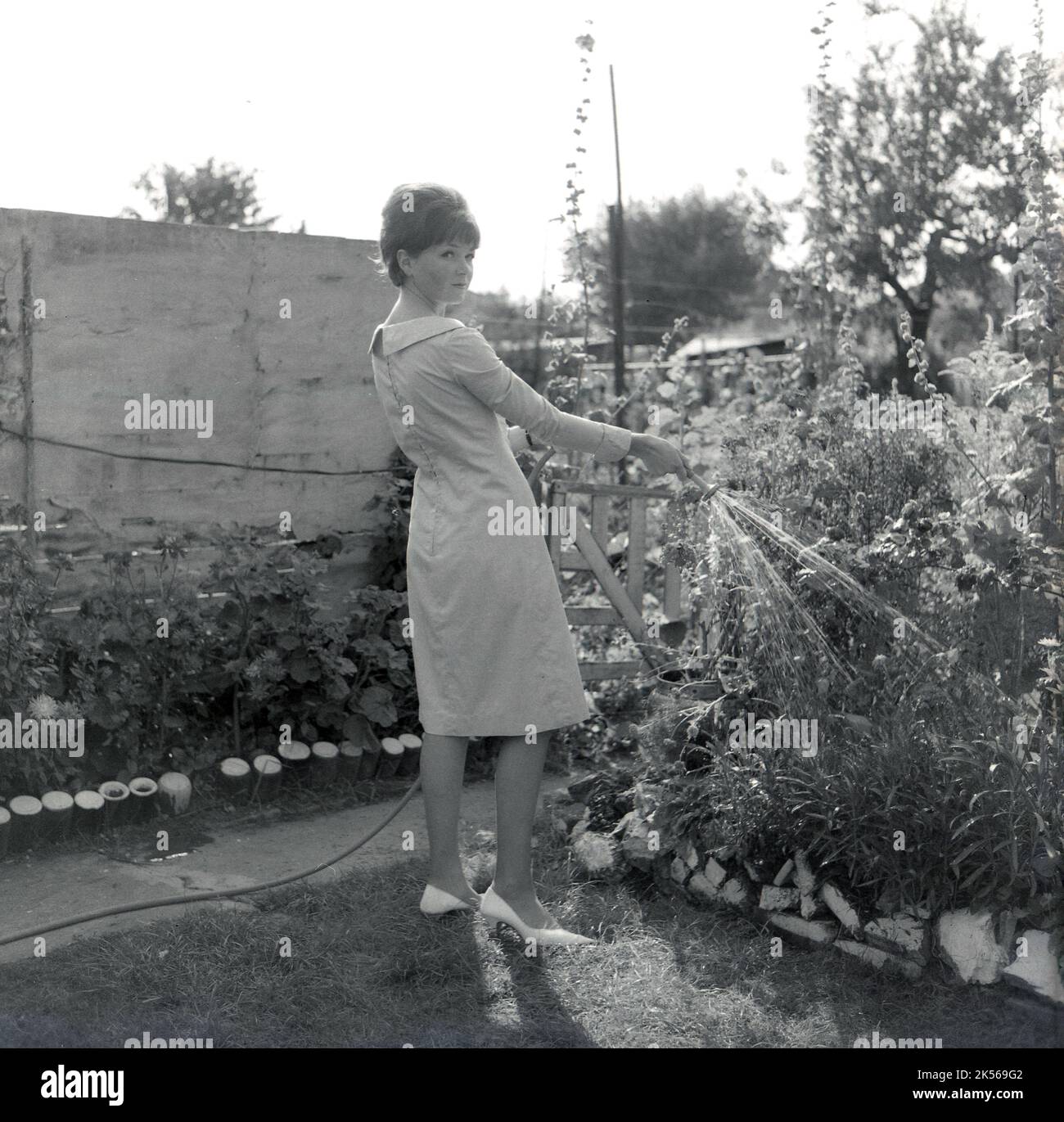 1964, storica, estiva e all'aperto in un giardino, una giovane donna in un vestito che innaffia le sue piante, utilizzando un tubo a tubo con uno spray, Inghilterra, Regno Unito. Foto Stock