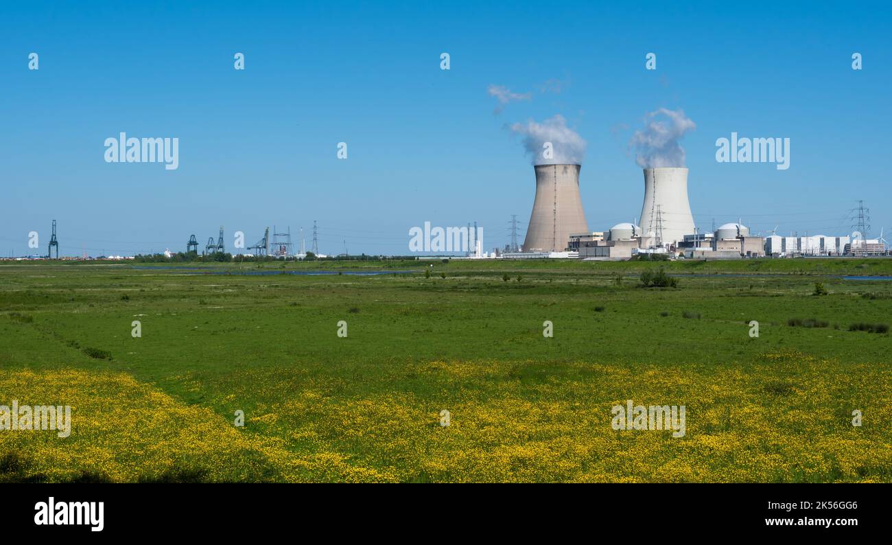 Doel, Est - Fiandre - Belgio - 06 01 2021 torri di raffreddamento dei reattori nucleari con campi agricoli in primo piano Foto Stock