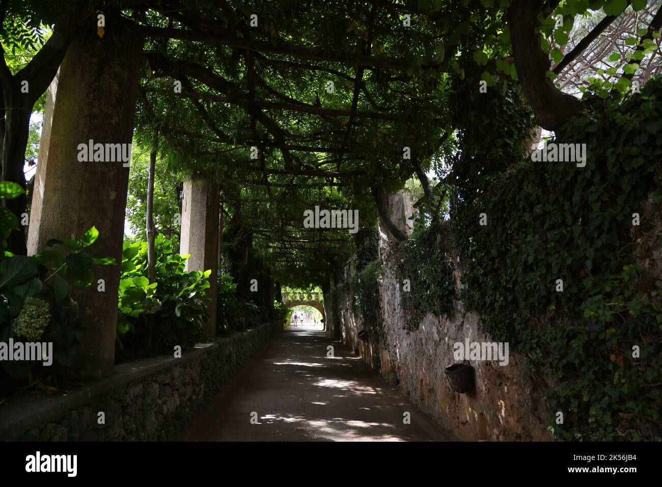 I bellissimi giardini di Villa Cimbrone a Ravello Foto Stock