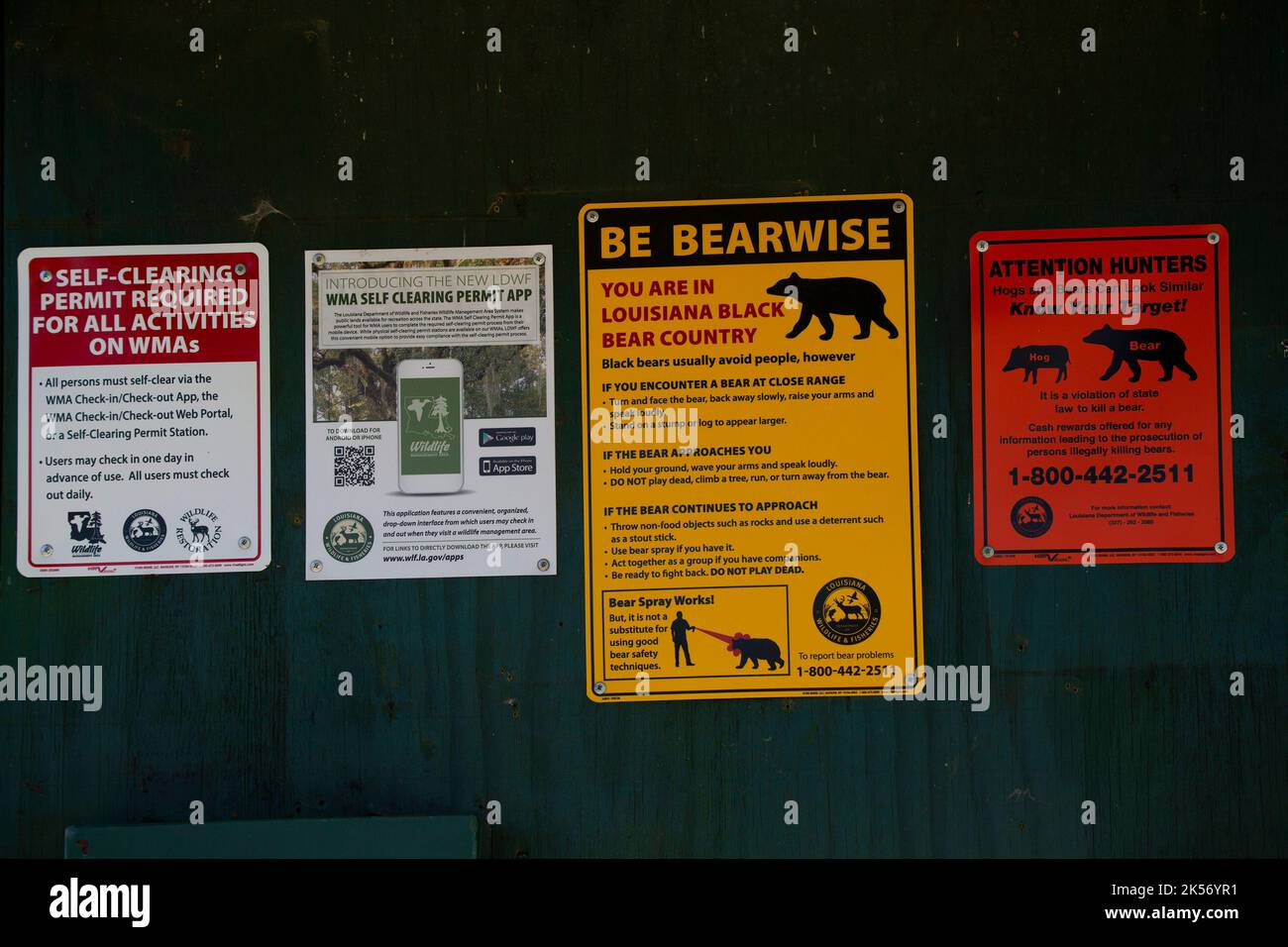 RUSSELL SAGE WILDLIFE MANAGEMENT AREA LOUISIANA/USA – FEBBRAIO 24 2020: Louisiana Wildlife and Fisheries Signs che fornisce consigli sulla sicurezza durante l'accu dell'orso Foto Stock
