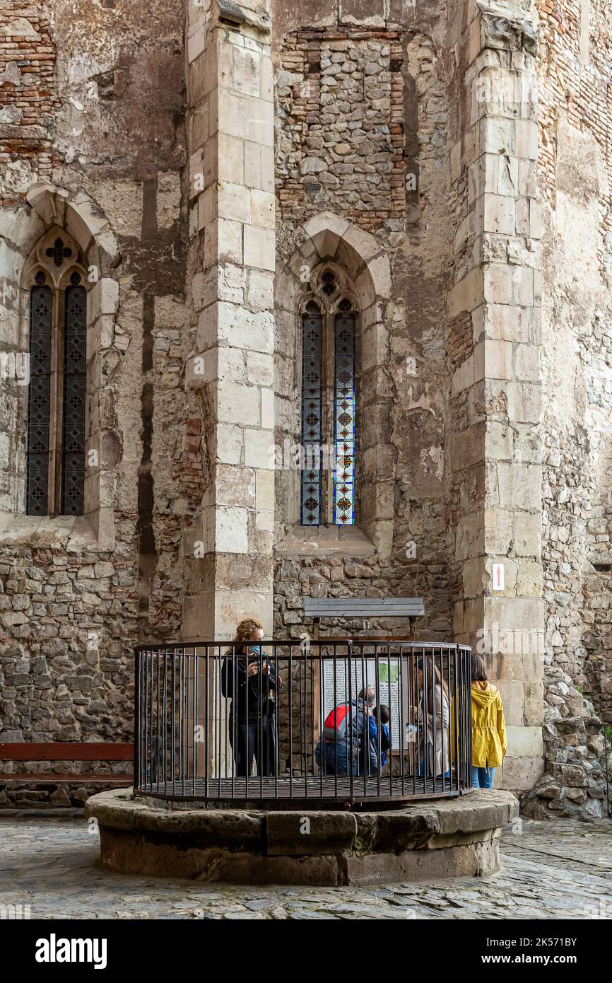 La fontana del Castello di Hunedoara, noto anche come Castello Corvin o Castello Hunyadi a Hunedoara, Romania Foto Stock