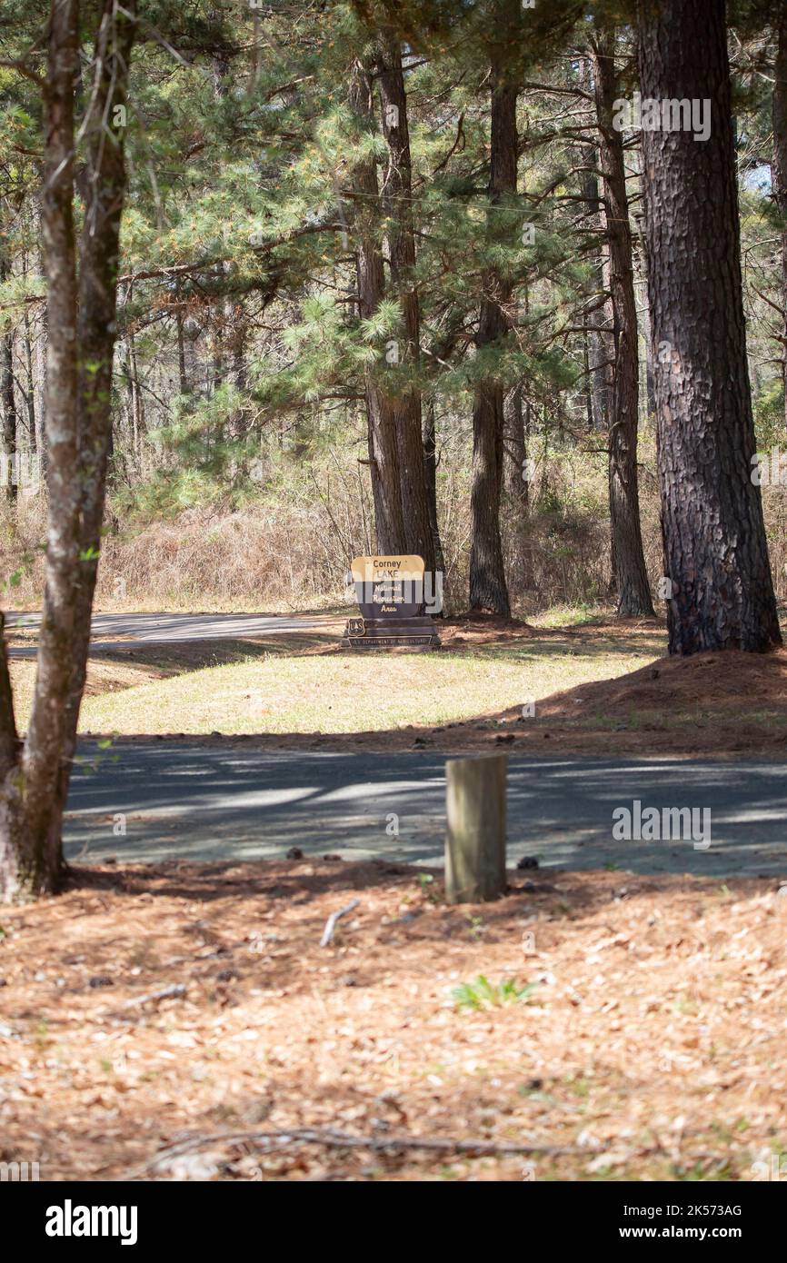 KISATCHIE NATIONAL FOREST RECREATION AREA A CORNEY LAKE LOUISIANA/USA – MARZO 9 2022: U.S. Department of Agriculture Forestry Service segno it Foto Stock