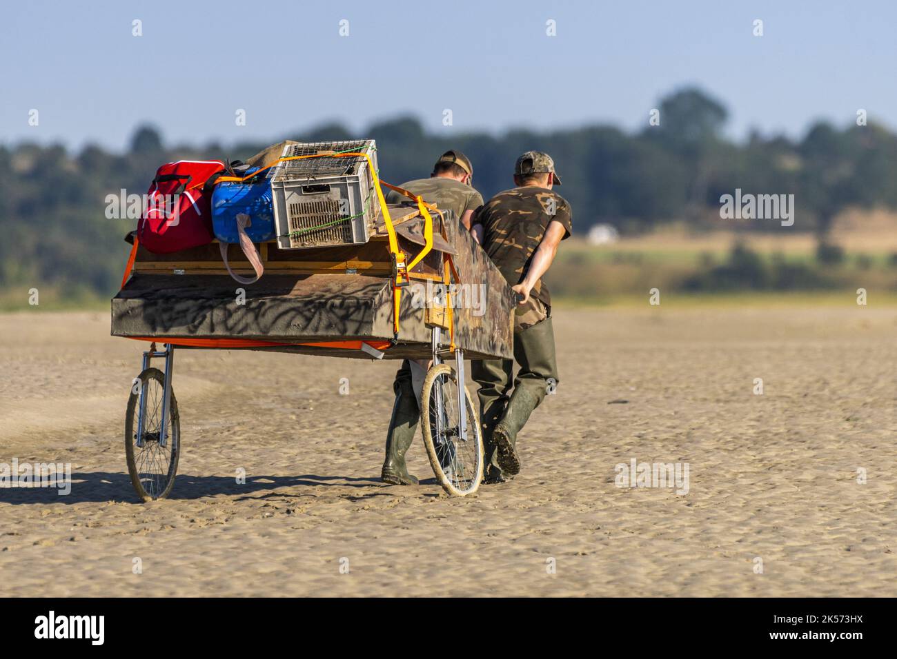 Francia, Somme, Baia della Somme, le Hourdel, due cacciatori tirano il loro hutteau, la bara che usano per nascondere e uccidere gli uccelli selvatici Foto Stock