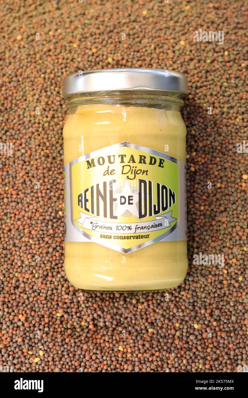 Francia, Cote d'Or, Fleurey sur Ouche, senape di Digione del marchio Reine de Dijon prodotto in loco (dal 1840) con semi di senape francese e senza conservanti Foto Stock