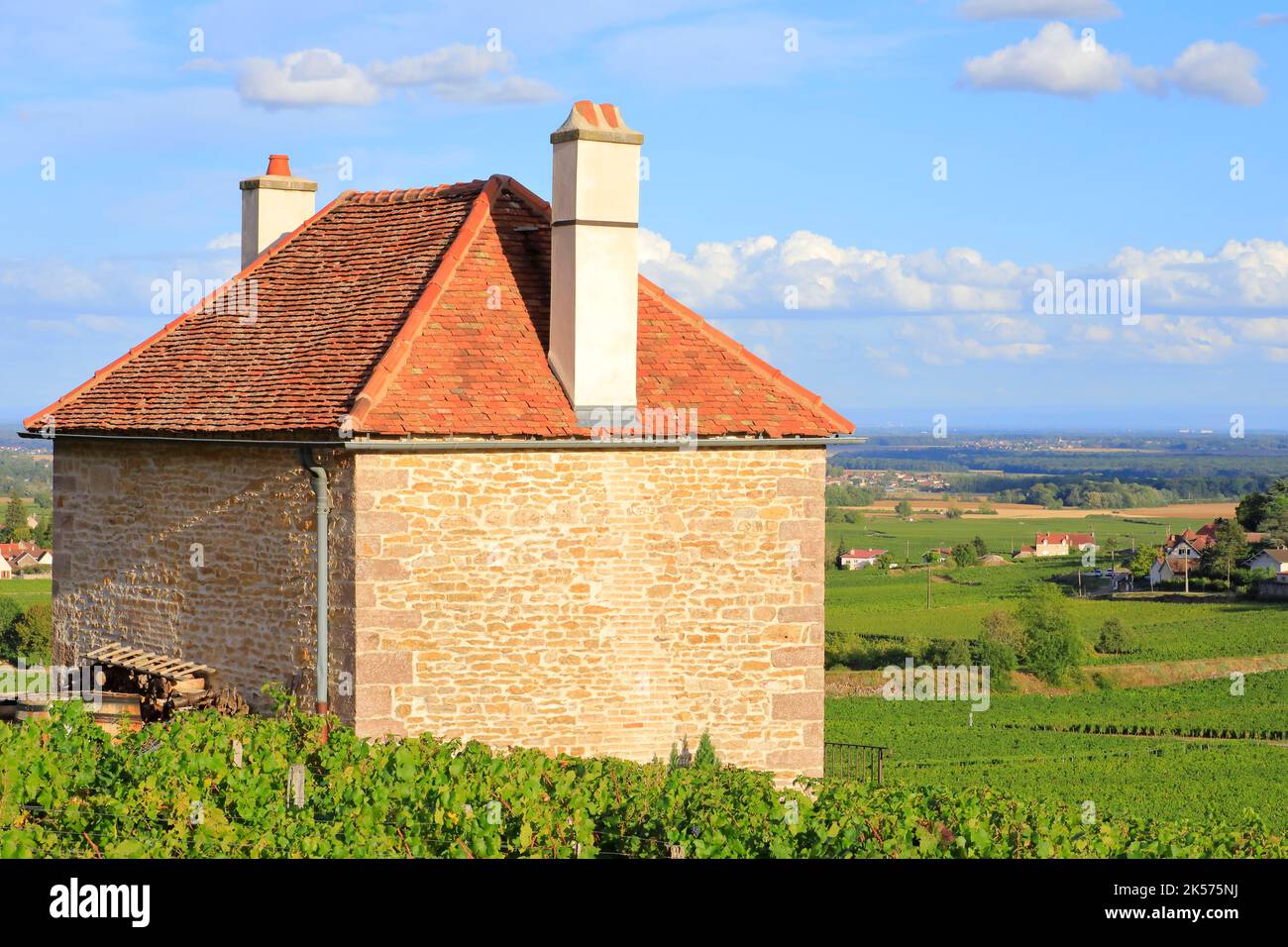 Francia, Cote d'Or, Cote de Nuits, Route des Grands Crus, i climi della Borgogna dichiarati Patrimonio dell'Umanità dall'UNESCO, Gevrey Chambertin, zona di Varoilles, piccola casa nel mezzo dei vigneti Foto Stock