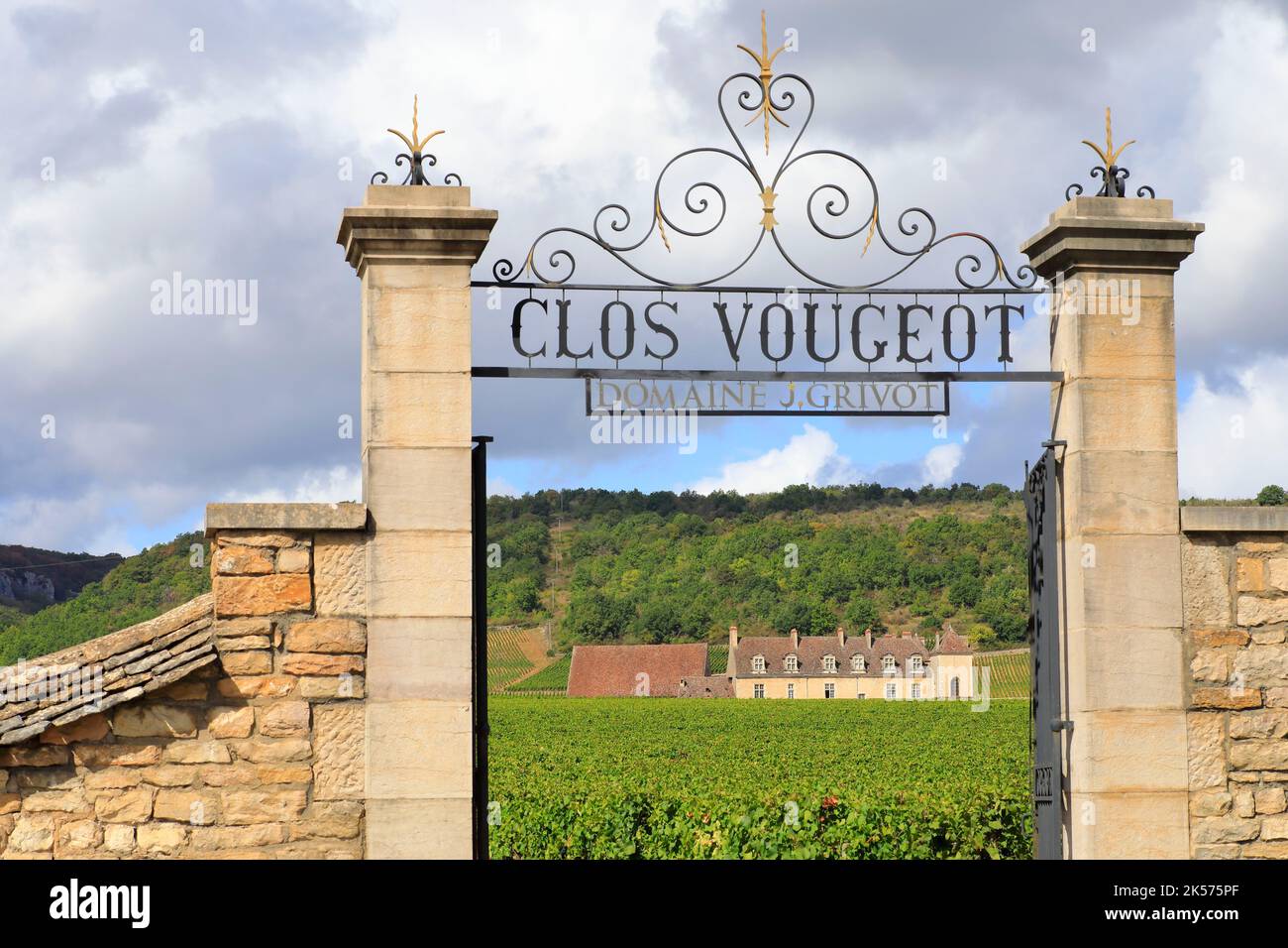 Francia, Cote d'Or, Cote de Nuits, Route des Grands Crus, i climi di Borgogna elencati come Patrimonio Mondiale dall'UNESCO, Vougeot, Clos Vougeot, vigneti di Domaine J. Grivot con il castello di Clos de Vougeot sullo sfondo (12th-16th ° secolo) Foto Stock