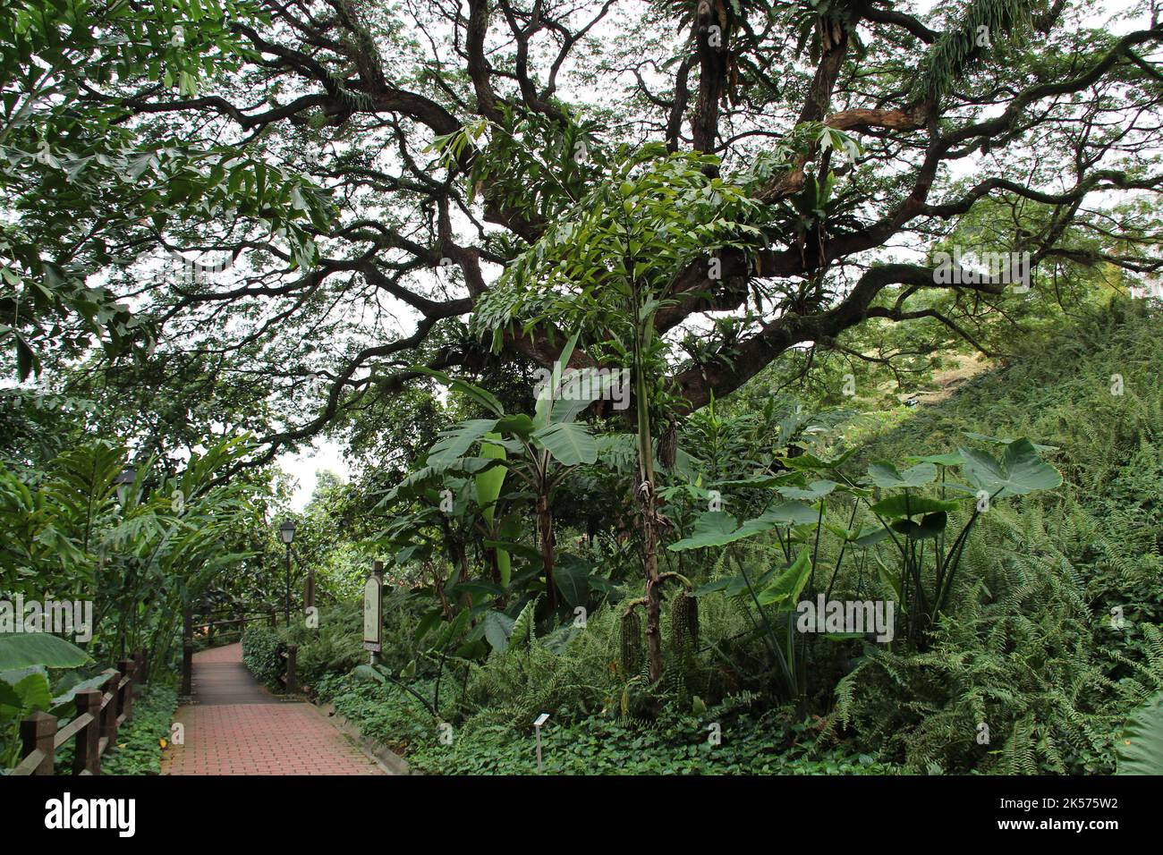 fort canning park a singapore Foto Stock