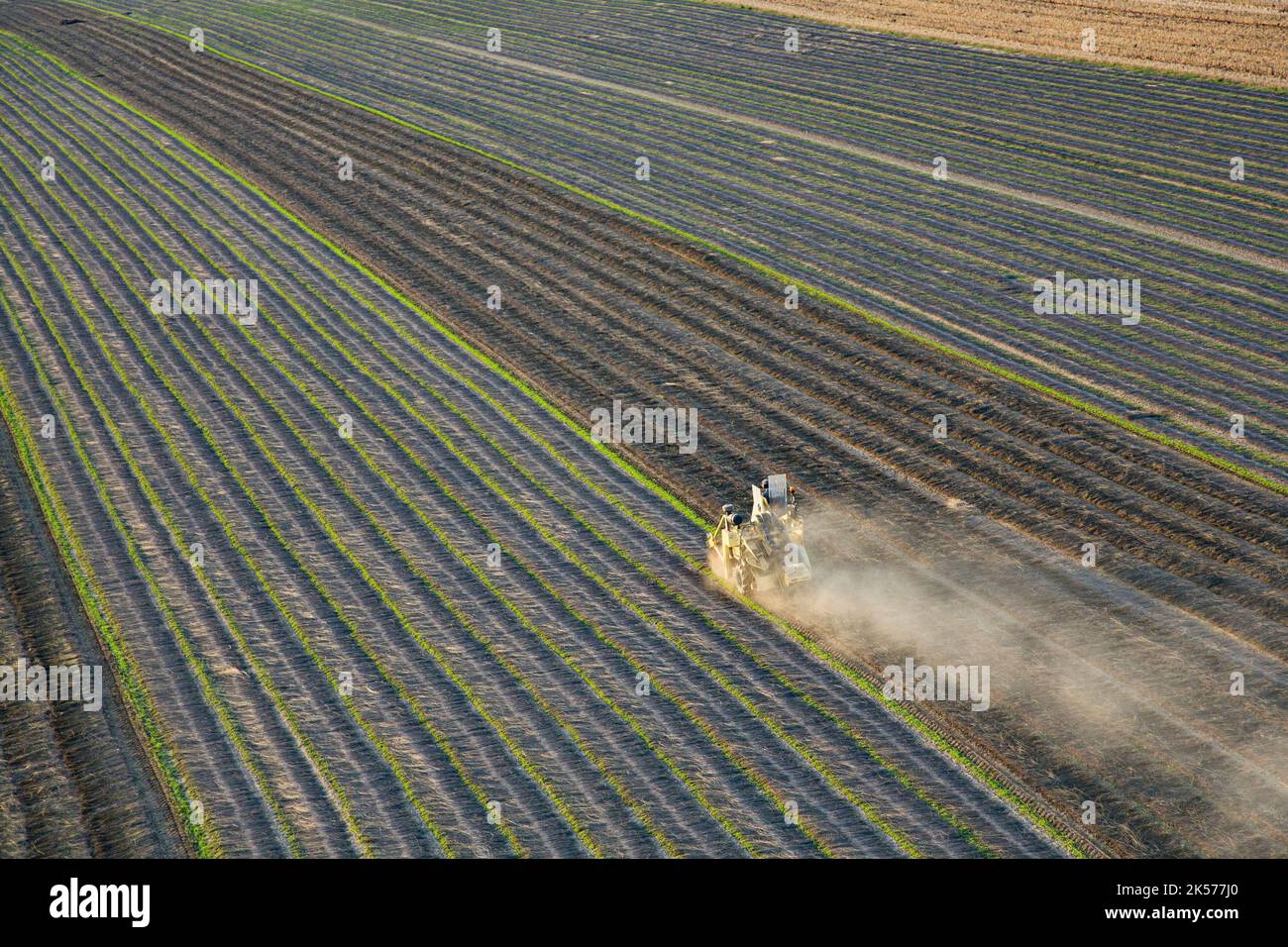 Francia, Eure, Vesly, raccolto di lino (veduta aerea) Foto Stock