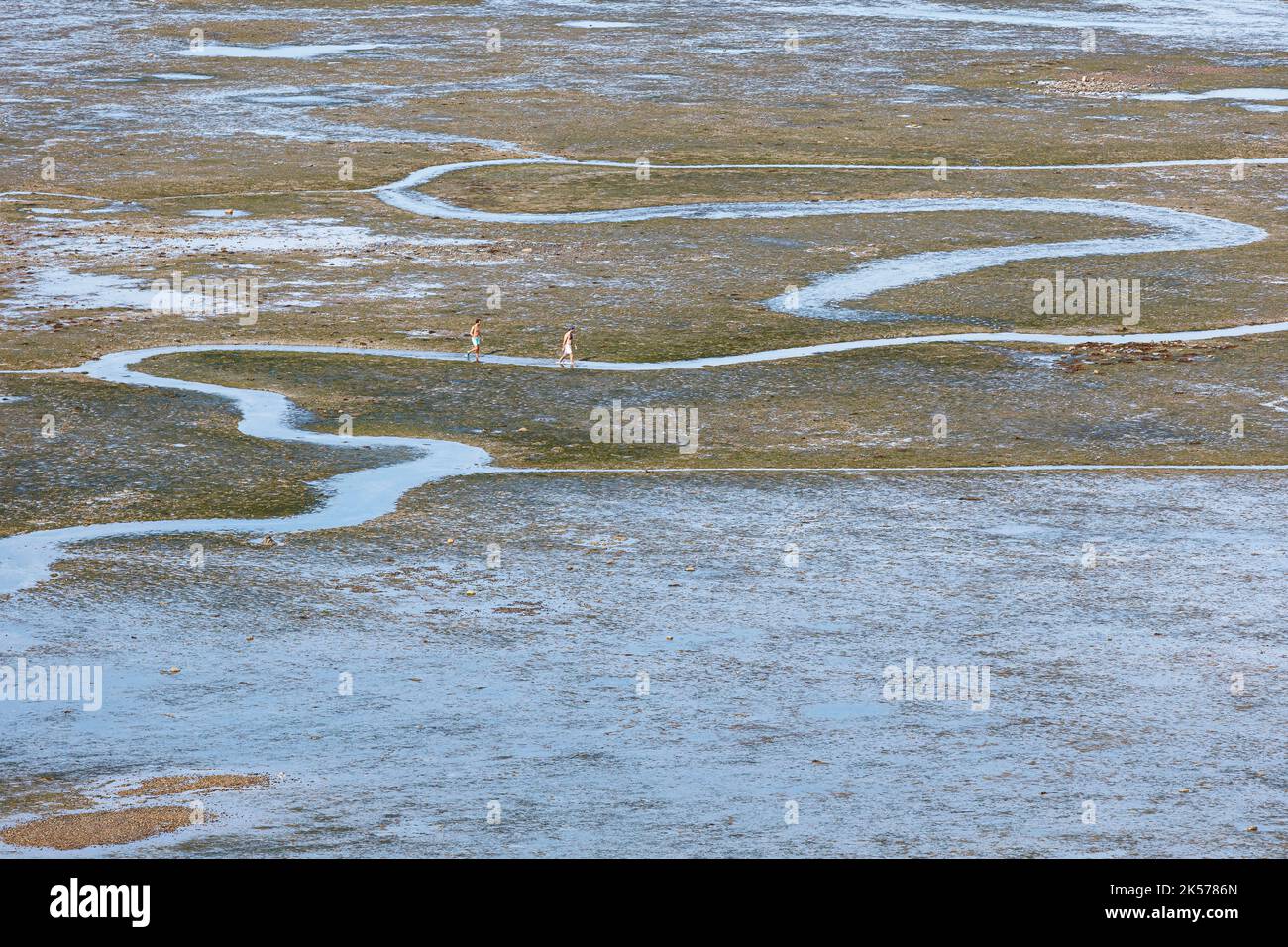 Francia, Charente Maritime, Ars en Re, escursionisti nella Fier d'Ars con bassa marea (vista aerea) Foto Stock