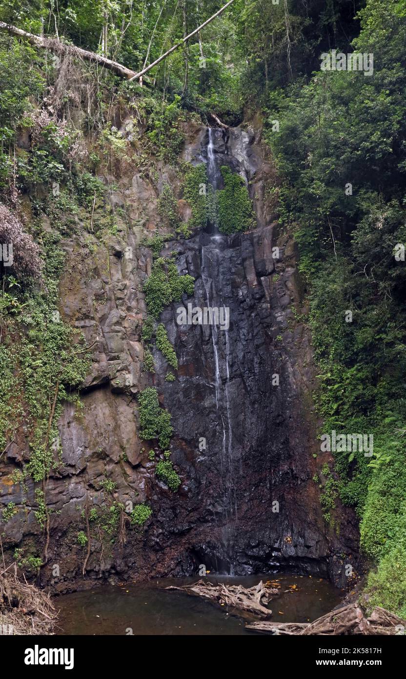 Cascata nella foresta pluviale Macambara, Sao Tome, Sao Tome e Principe, Africa. Settembre Foto Stock