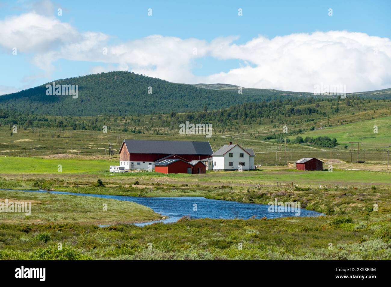 Bellissima natura nel Parco Nazionale di Rondane, Norvegia Foto Stock