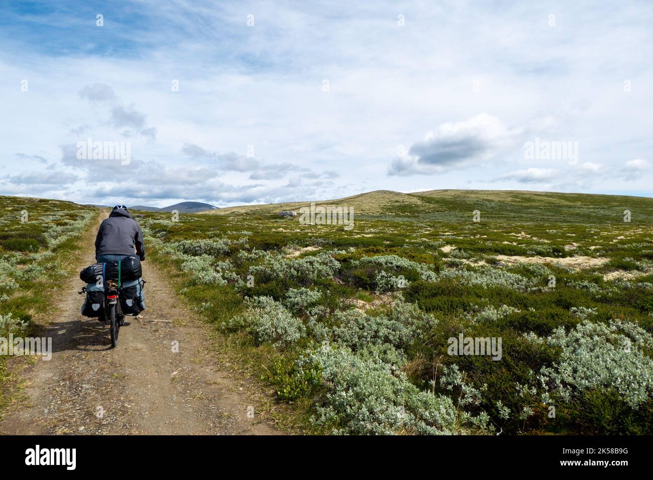 Ciclista su strada sterrata nel bellissimo Parco Nazionale di Rondane, Norvegia Foto Stock