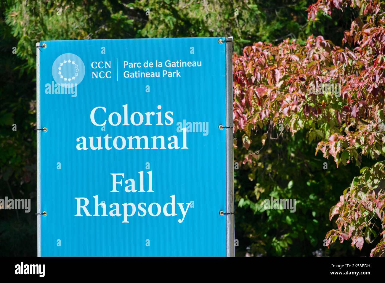 Chelsea, Quebec, Canada - 2 ottobre 2022: Un cartello all'aperto per 'Fall Rhapsody' al Gatineau Park in Quebec si trova di fronte alle foglie che iniziano a girare Foto Stock