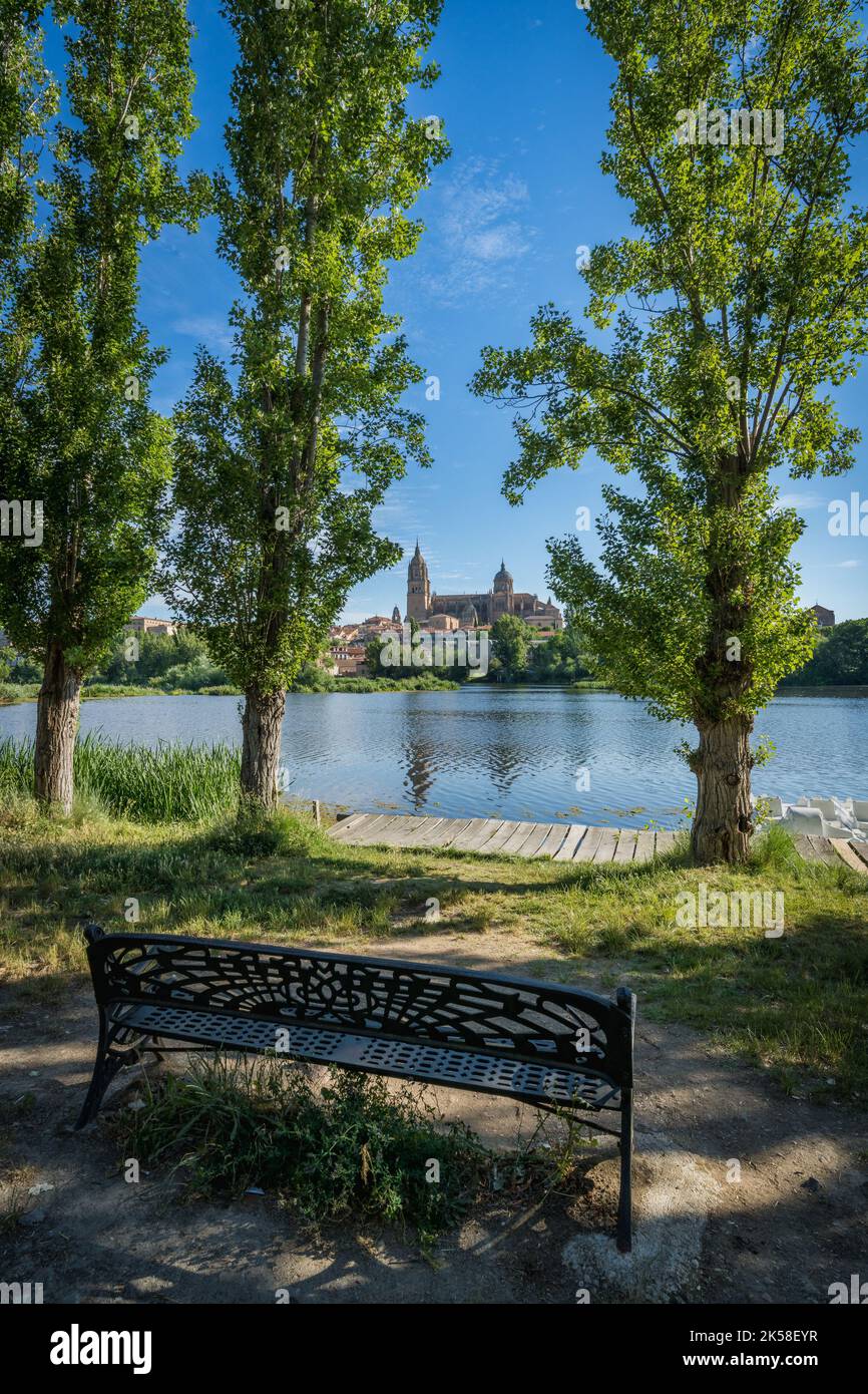 Vista sulla città di Salamanca in Spagna, con il fiume Tormes e la cattedrale Foto Stock